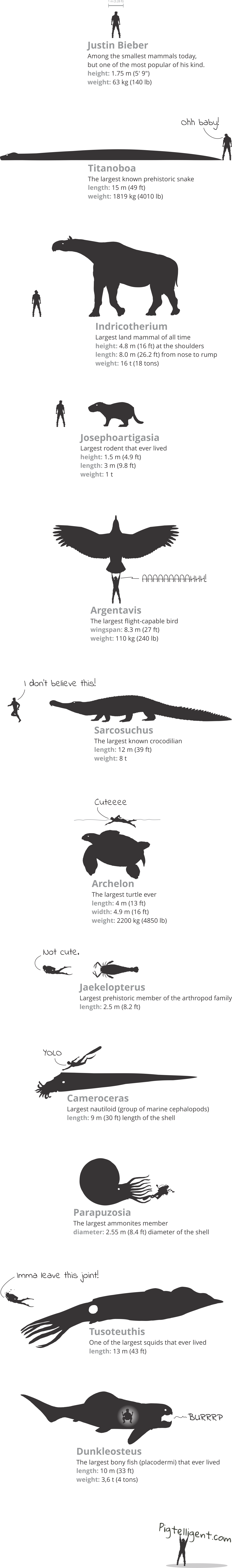 Biggest prehistoric animals compared to Justin Bieber