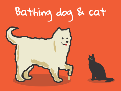 Bathing dog & cat