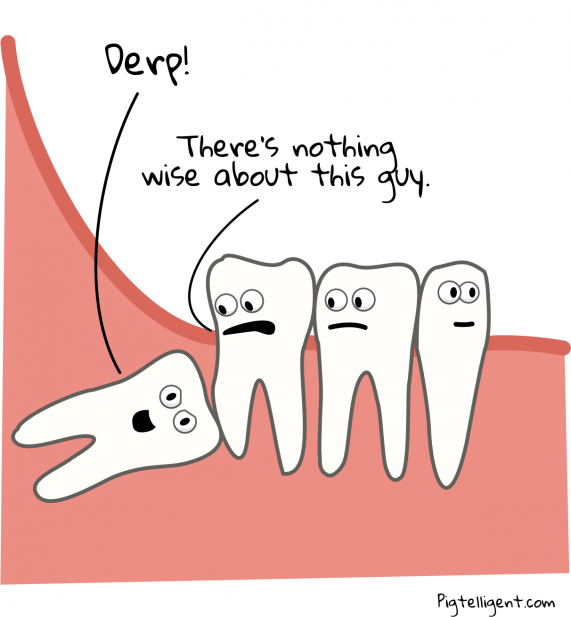 The way of a wisdom tooth | Pigtelligent