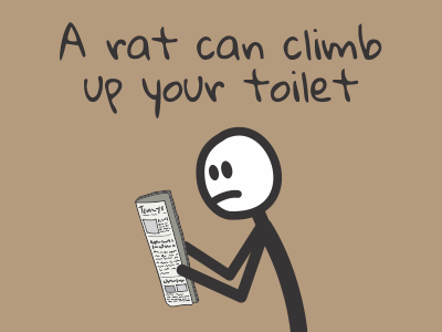 A rat can climb up your toilet