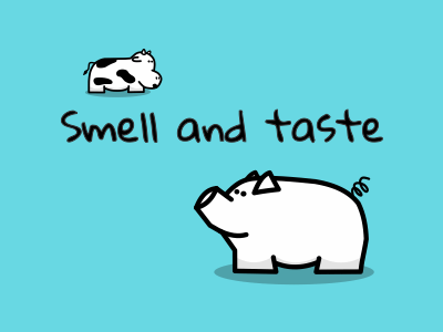 Smell and taste