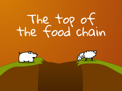 The top of the food chain